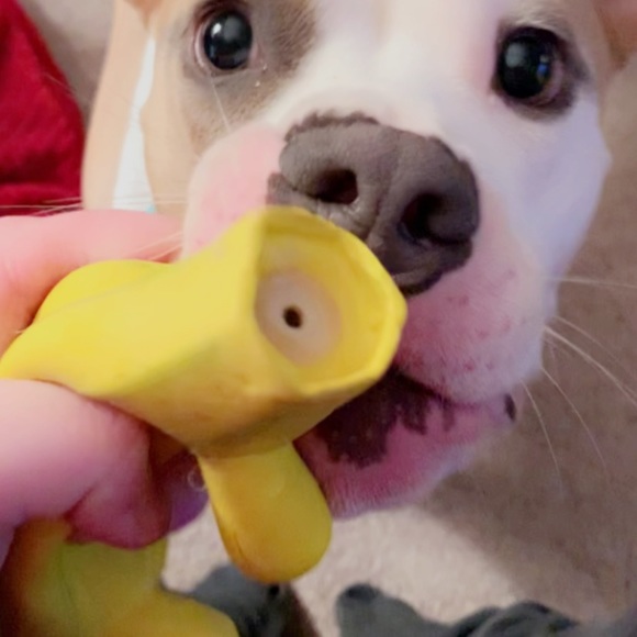 Meet your Posher, Kanan - Picture 1 of 1